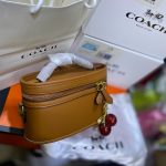 Coach New York